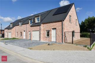 House for rent in Anzegem