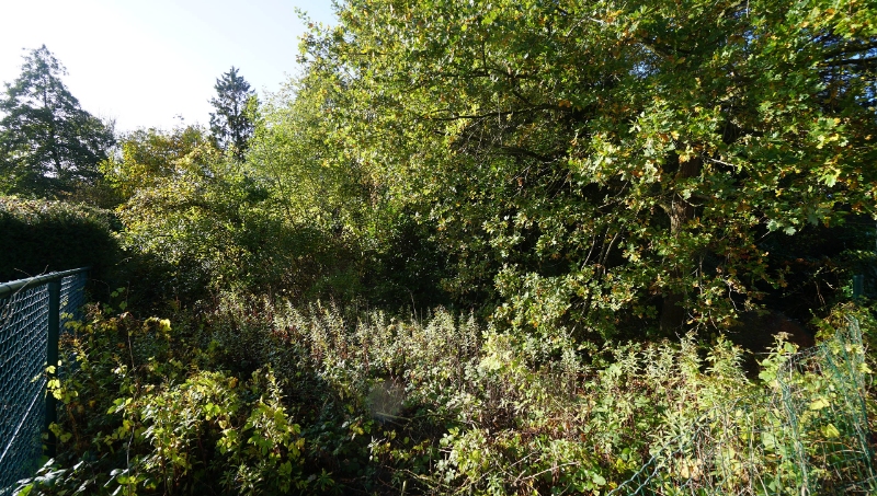 Bouwgrond van 5a53ca voor half-open bebouwing - photo 4