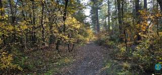 Mooi en ruim perceel grond van 8.415m², gelegen in gebied voor verblijfsrecreatie.Het goed is gelegen aan de grens Retie - Kasterlee...