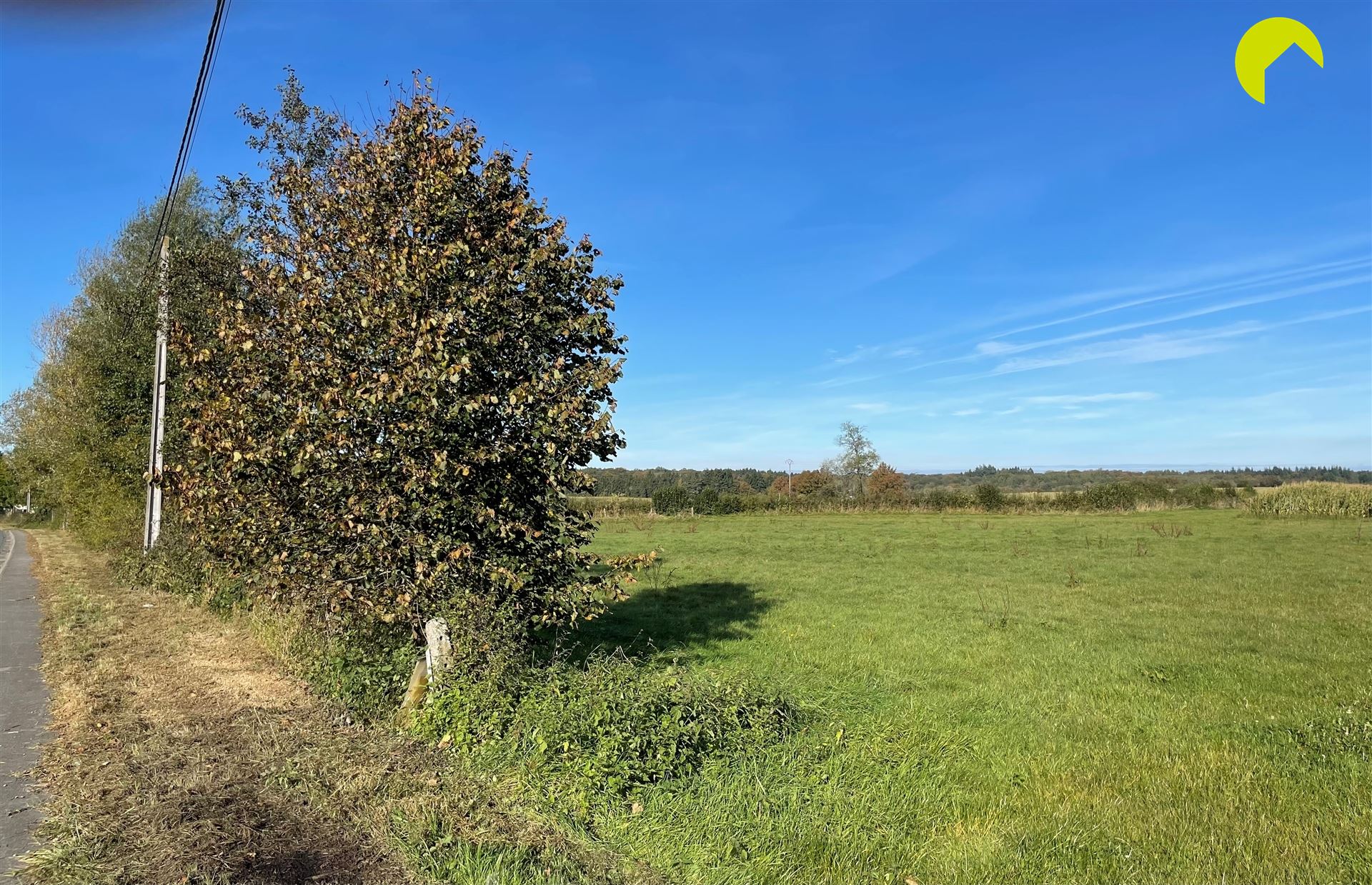 Land for sale in Momignies - photo 2