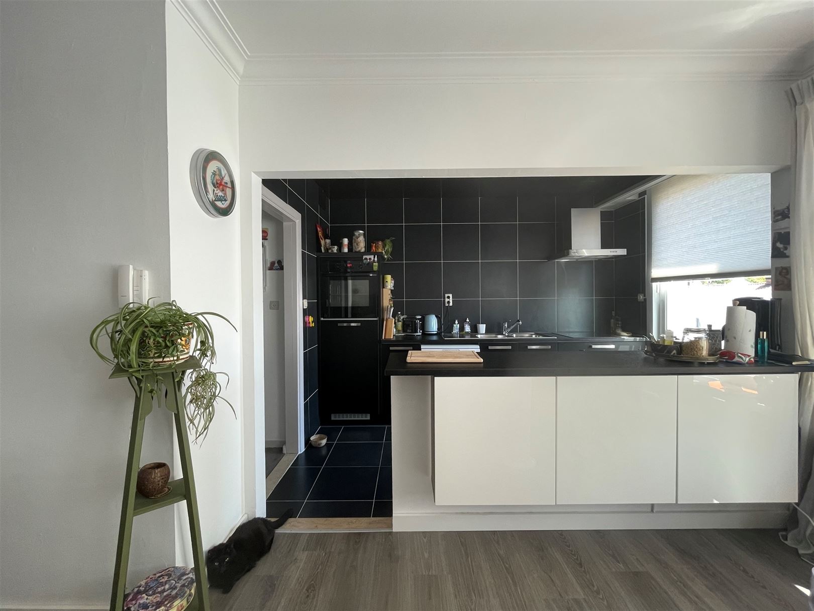 Apartment for rent in Edegem with 2 bedrooms - photo 4