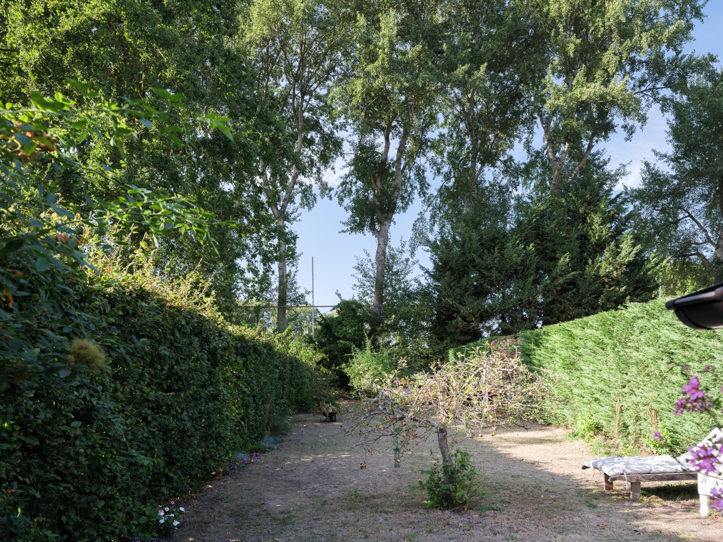 Turnkey home with abundant light and beautiful garden - photo 5