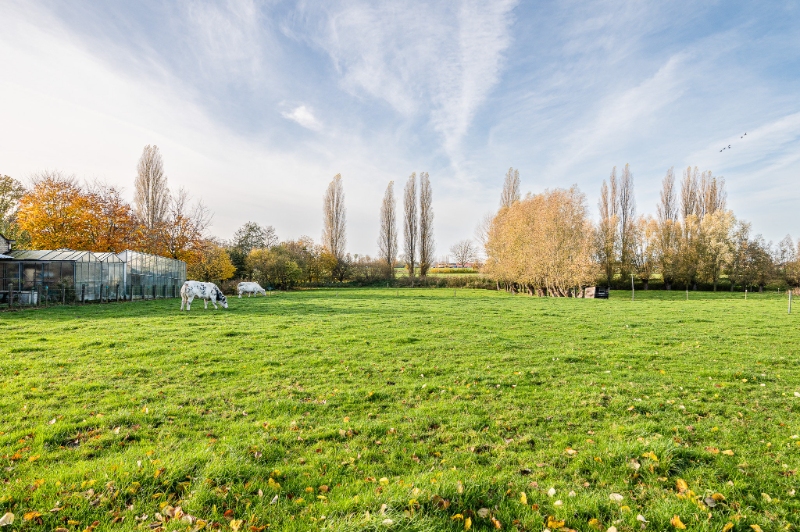 Bouwgrond voor nieuw te bouwen villa in Landegem - foto 5