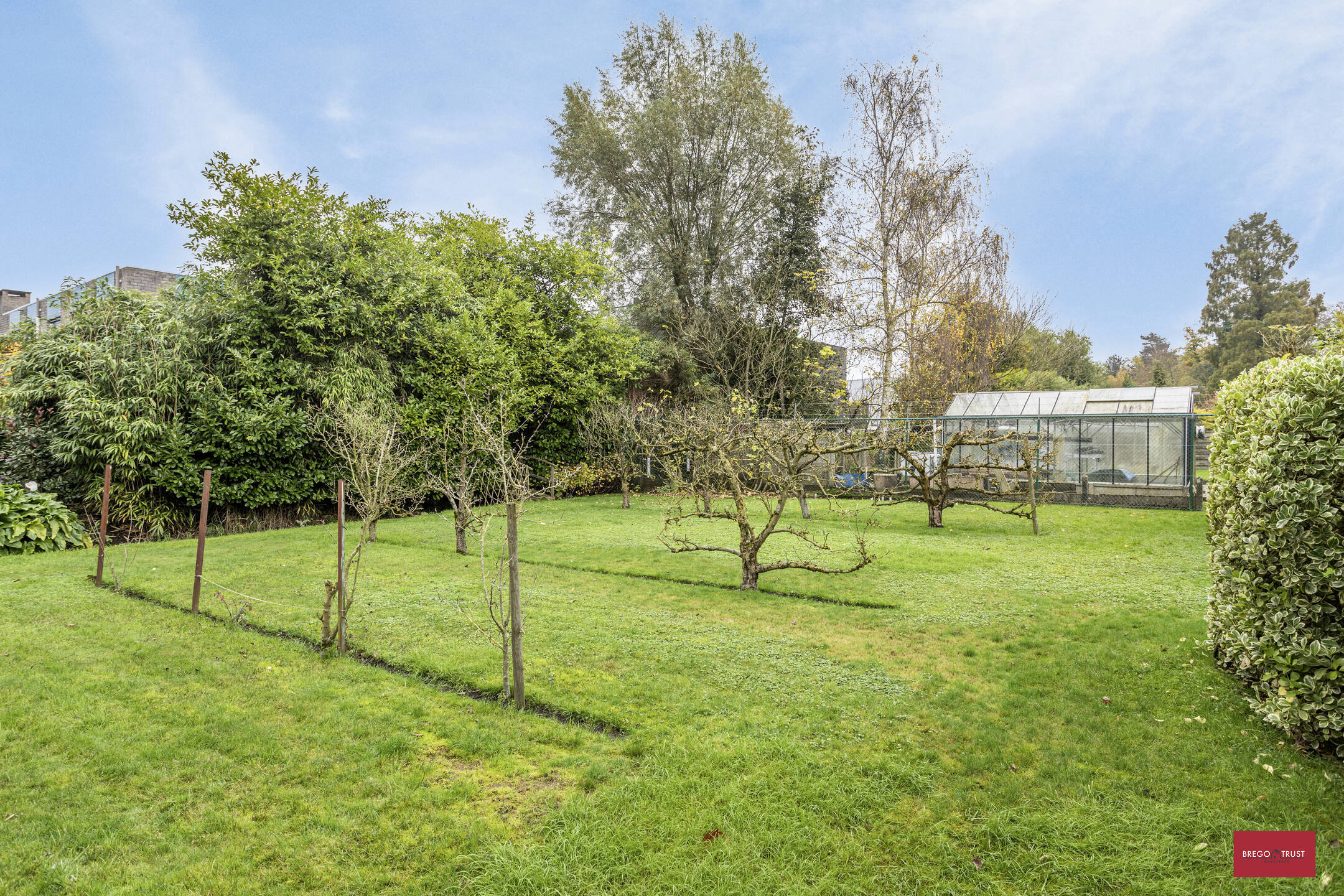 Bedrijfsgebouw op 4.500 m² grond met woning op topligging - foto 5