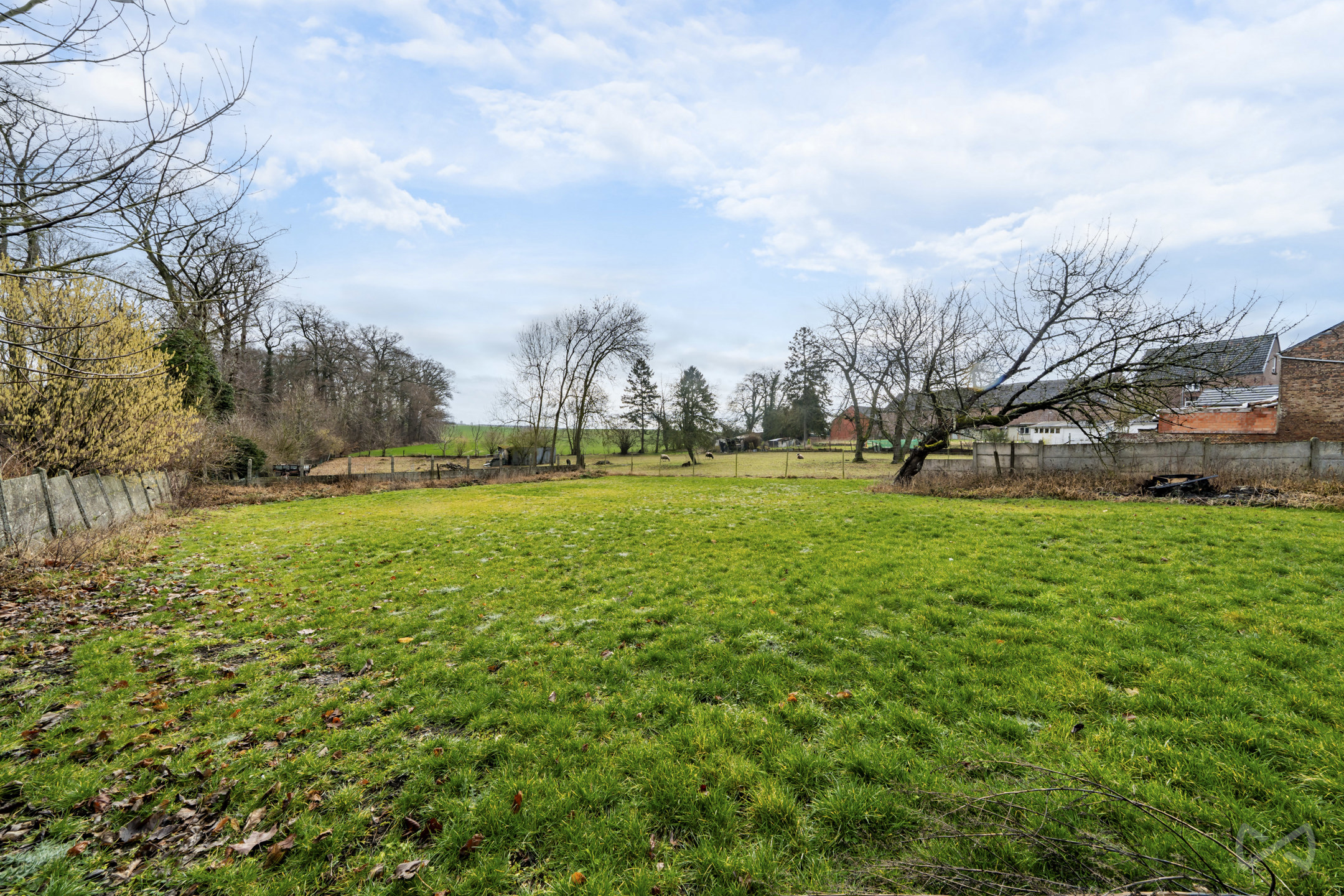 Huis te koop in Jauche met 3 slaapkamers - foto 3
