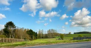 <p>Welkom in Glooizicht, een kleinschalig nieuwbouwproject met 4 hedendaagse woningen, rustig gelegen in het groene Lubbeek. Dit stijlvolle project combineert modern wooncomfort, energiezuinig wonen en een aangename woonomgeving op een strategische locatie nabij winkels, scholen, openbaar vervoer en belangrijke verbindingswegen.</p><p>De woningen werden ontworpen met bijzondere aandacht voor architectuur, lichtinval en leefkwaliteit. Dankzij de doordachte indeling geniet je van ruime leefruimtes die perfect aansluiten op het dagelijkse gezinsleven. Grote raampartijen zorgen voor een aangename natuurlijke lichtinval en creëren een open en luchtige sfeer in elke woning.</p><p>De hedendaagse architectuur wordt gecombineerd met kwalitatieve materialen en een duurzame afwerking. Hierdoor woon je niet alleen comfortabel, maar kies je ook voor een toekomstgerichte woning met aandacht voor energieprestaties en woonkwaliteit.</p><p>Elke woning beschikt over een private tuin waar je in alle rust kan genieten van het groene karakter van de omgeving. De combinatie van privacy, ruimte en rust maakt Glooizicht bijzonder aantrekkelijk voor gezinnen, koppels en investeerders die op zoek zijn naar een kwalitatieve woning in Lubbeek.</p><p>De ligging vormt een extra troef. Je woont hier in een rustige en aangename omgeving met het landelijke karakter van Lubbeek, terwijl dagelijkse voorzieningen en belangrijke verbindingswegen vlot bereikbaar zijn. Zo combineer je comfortabel wonen met een uitstekende mobiliteit.</p><p>Glooizicht biedt een unieke woonkans voor wie op zoek is naar een hedendaagse nieuwbouwwoning met tuin in Lubbeek. Mogelijkheid tot aankoop van parking. Ontdek zelf de charme, kwaliteit en woonrust van dit stijlvolle project.</p>