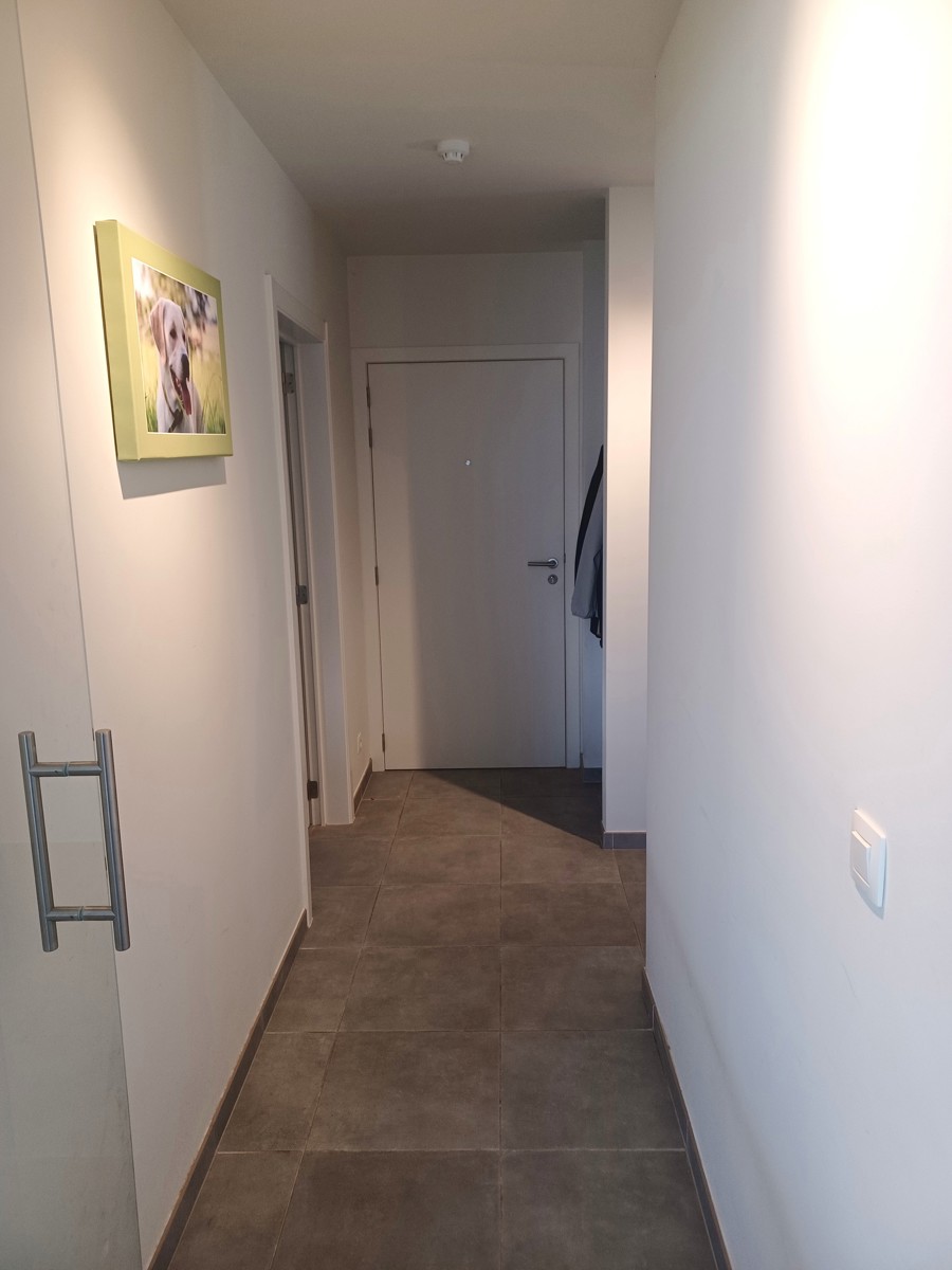 Gelijkvloers appartement met 3 terrassen - centrum Okegem - foto 4