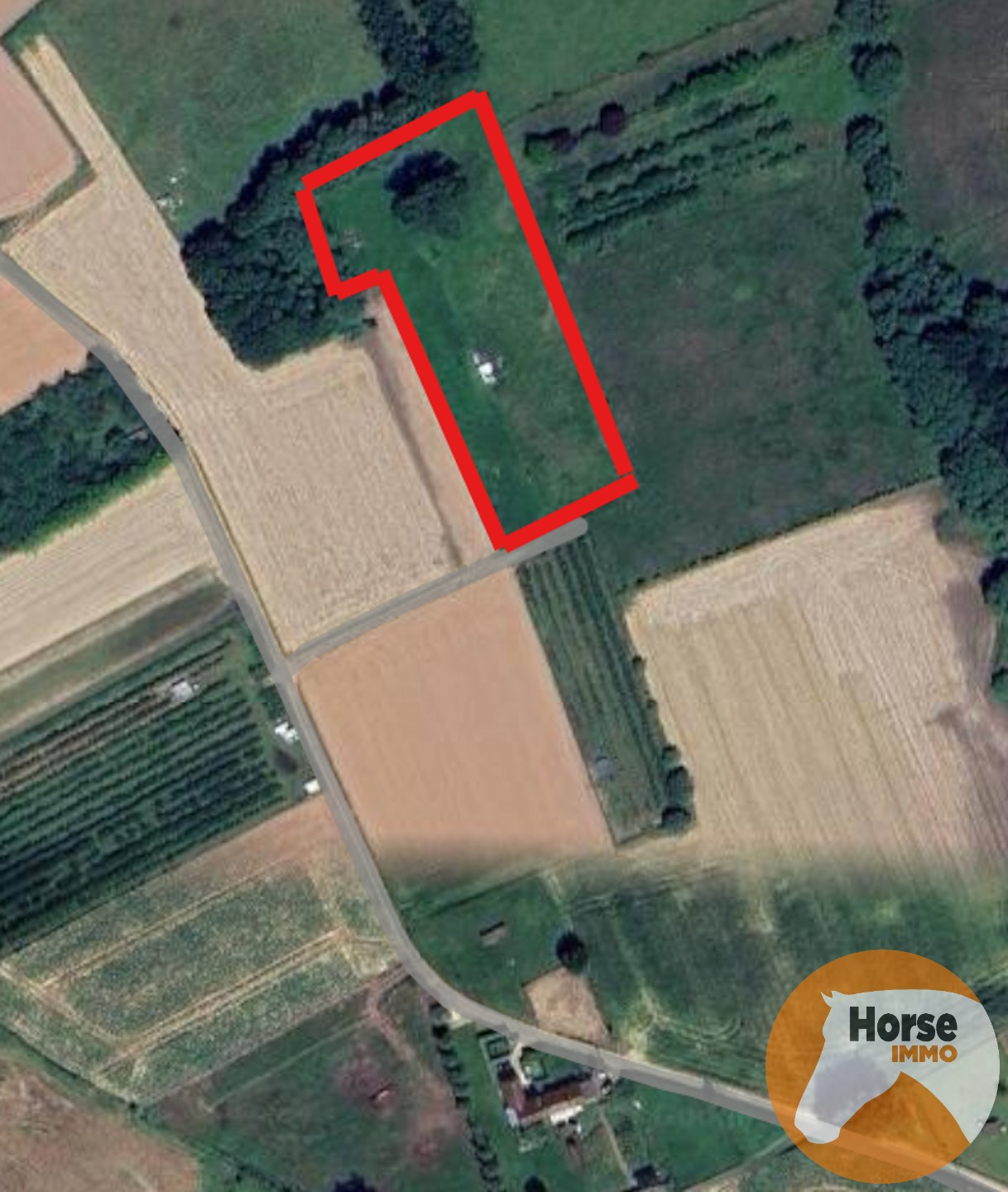 HAALTERT – Weide met stal op ± 65 are - foto 1