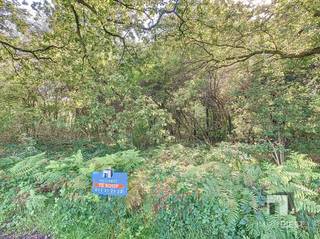 Privé natuurgrond (7.945 m²) in Tessenderlo-Ham – 3 aaneensluitende percelen in natuurgebiedZin in een plek waar u de drukte achter u laat en opnieuw...