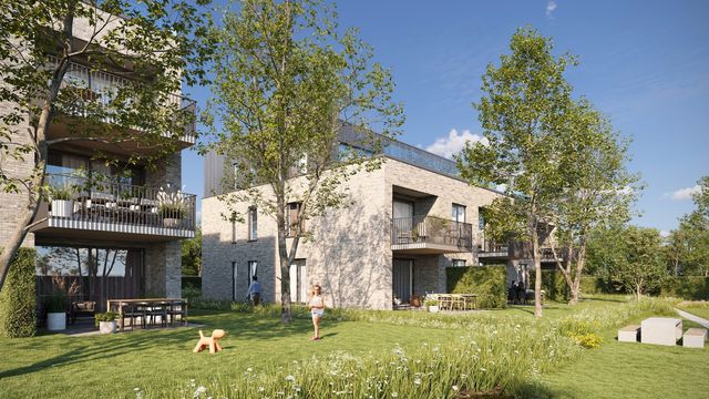 Project te koop in Hechtel