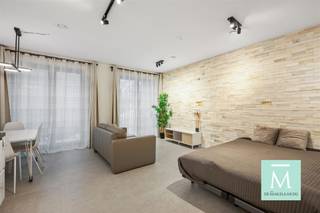 Charmante, energiezuinige gemeubelde studio op topligging in MechelenOp zoek naar een betaalbare, instapklare woonst op een uitstekende locatie? Dan...