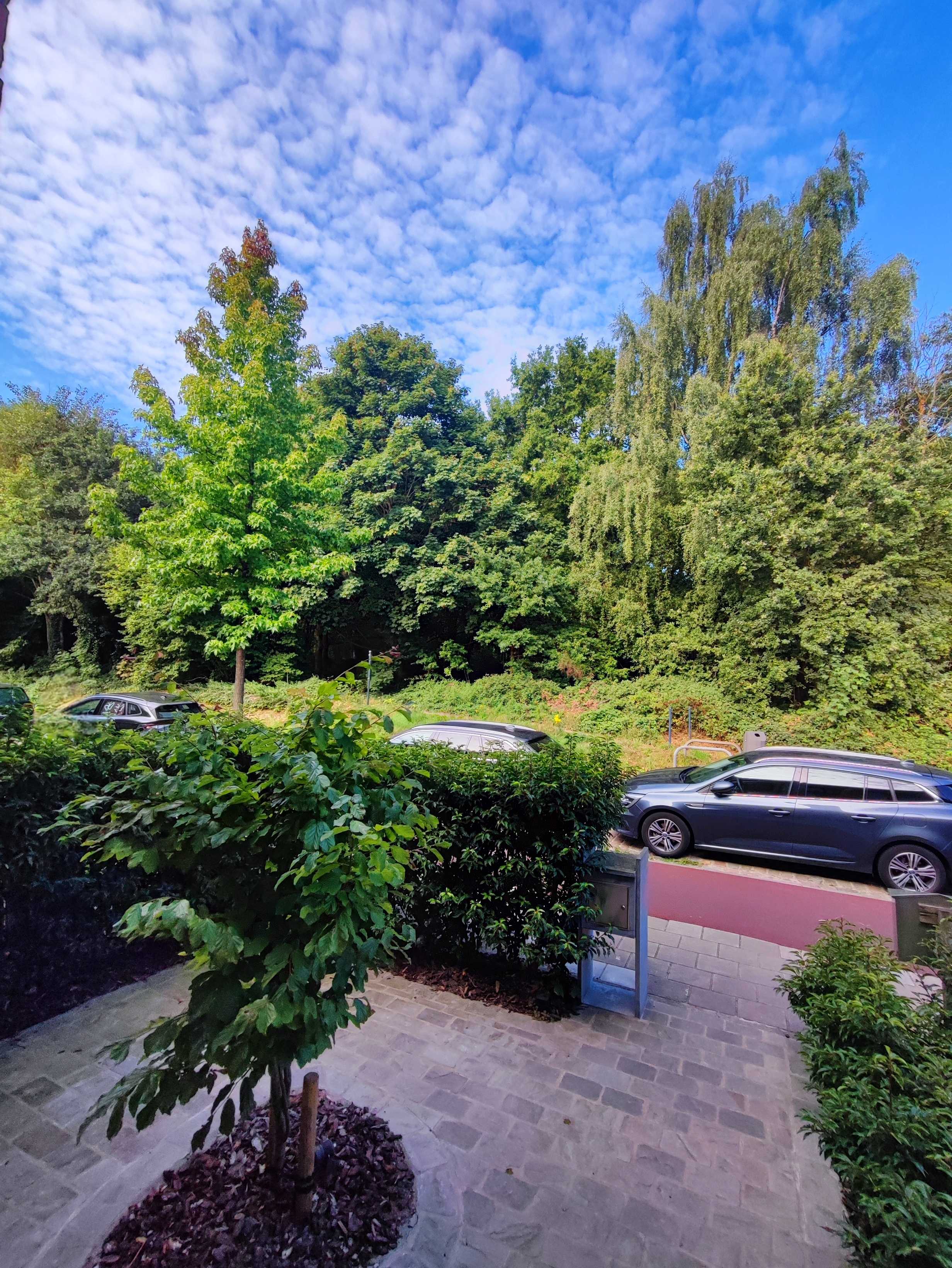 House for sale in Wilrijk with 3 bedrooms - photo 3