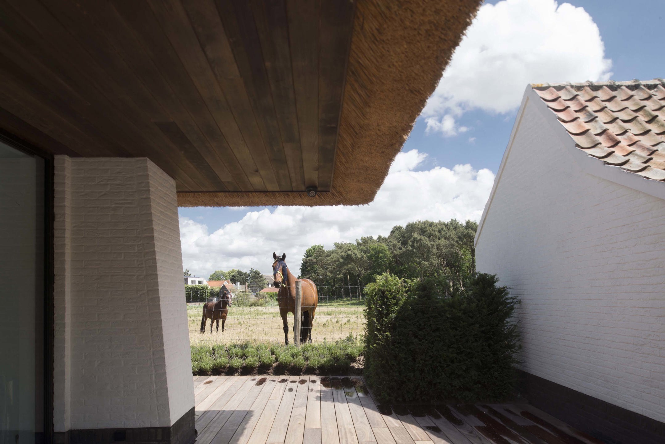 Maison à louer à Knokke-Heist avec 4 chambres - photo 3