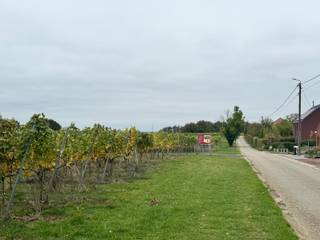 Uitstekend gelegen, te renoveren, woning met 3 slaapkamers, garage en tuin!De woning is gelegen recht tegen over het wijndomein “het eiken vat” –...