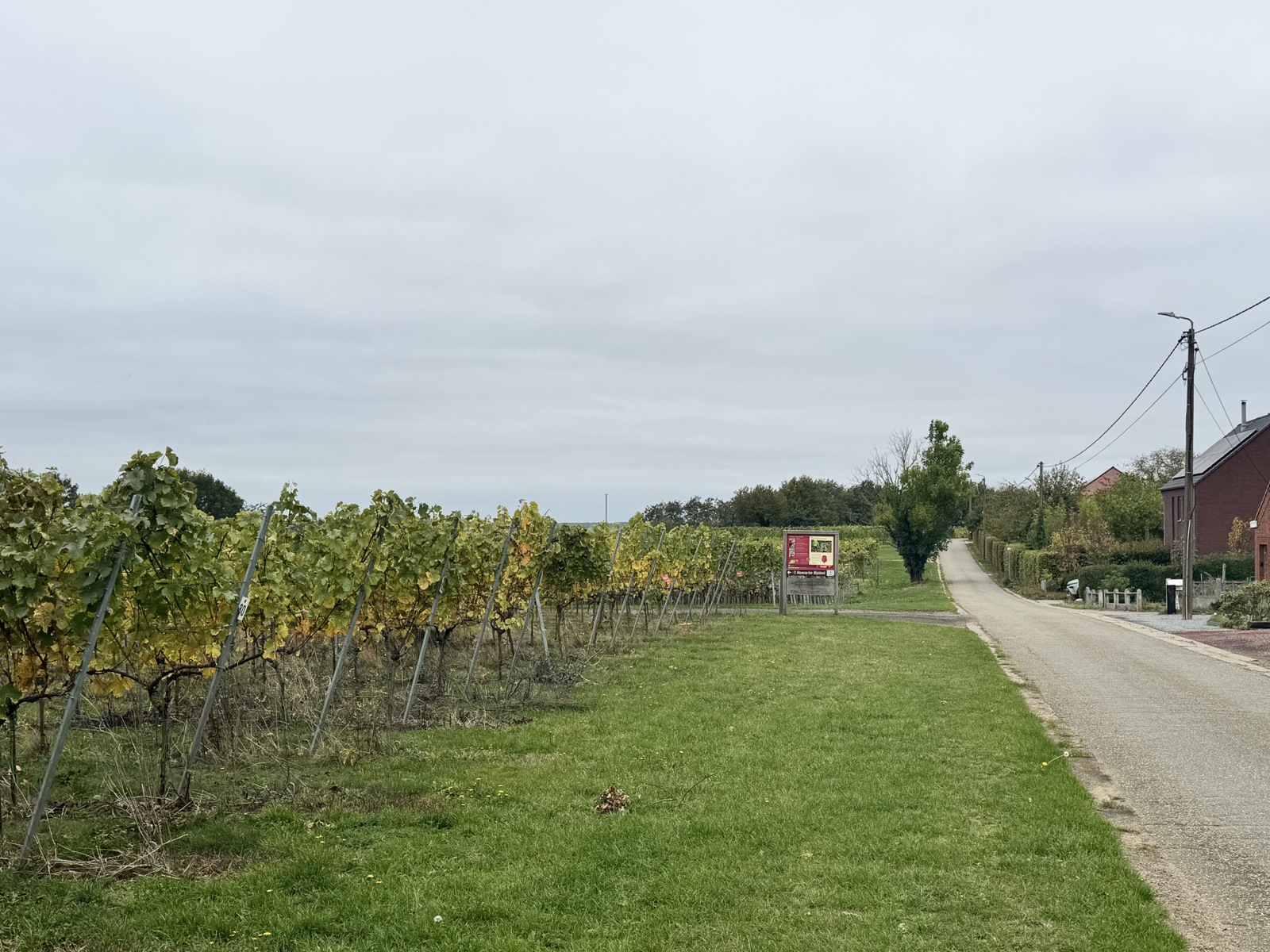 Huis te koop in Tielt-Winge met 3 slaapkamers - foto 3