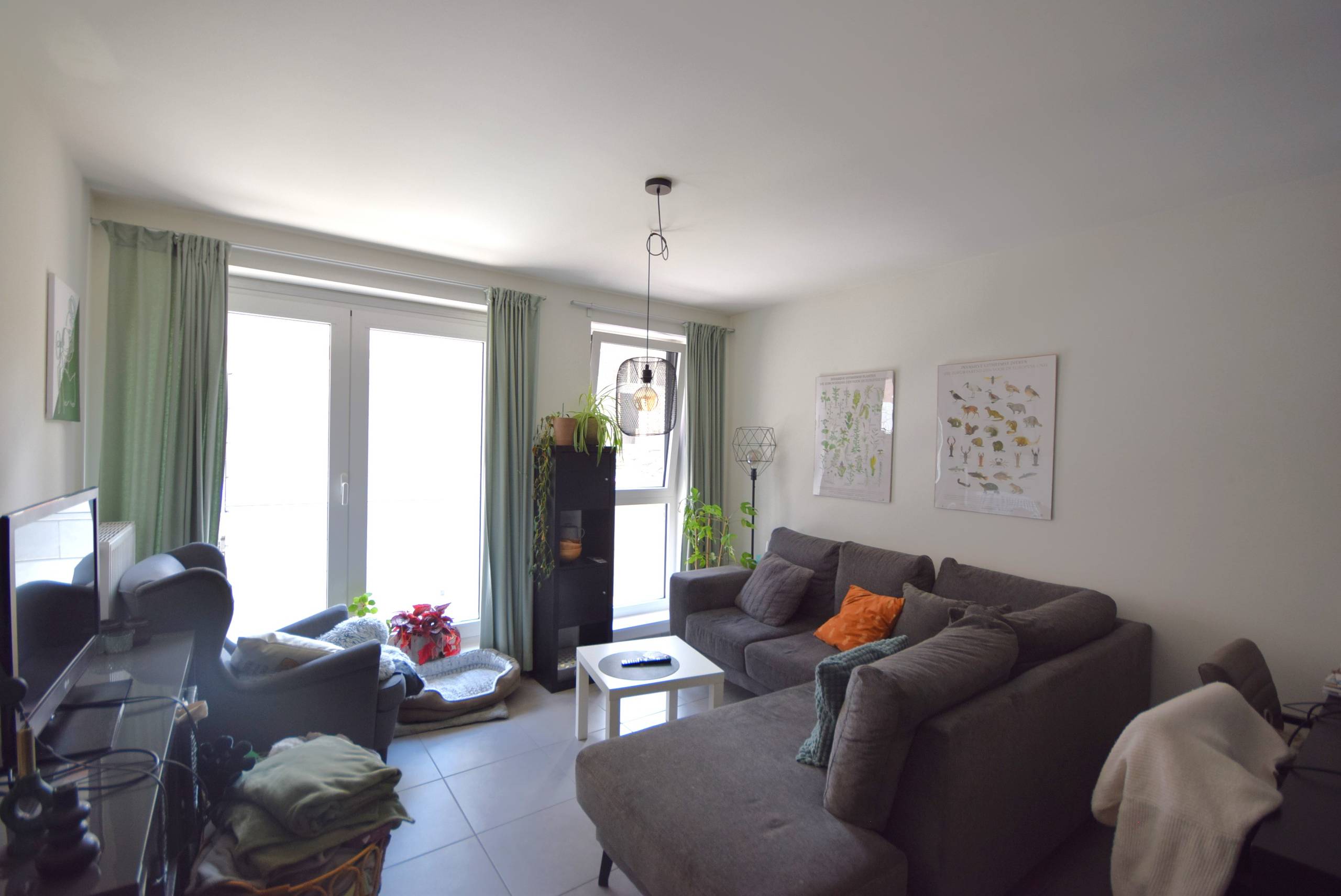 Apartment for rent in Leuven with 1 bedroom - photo 3