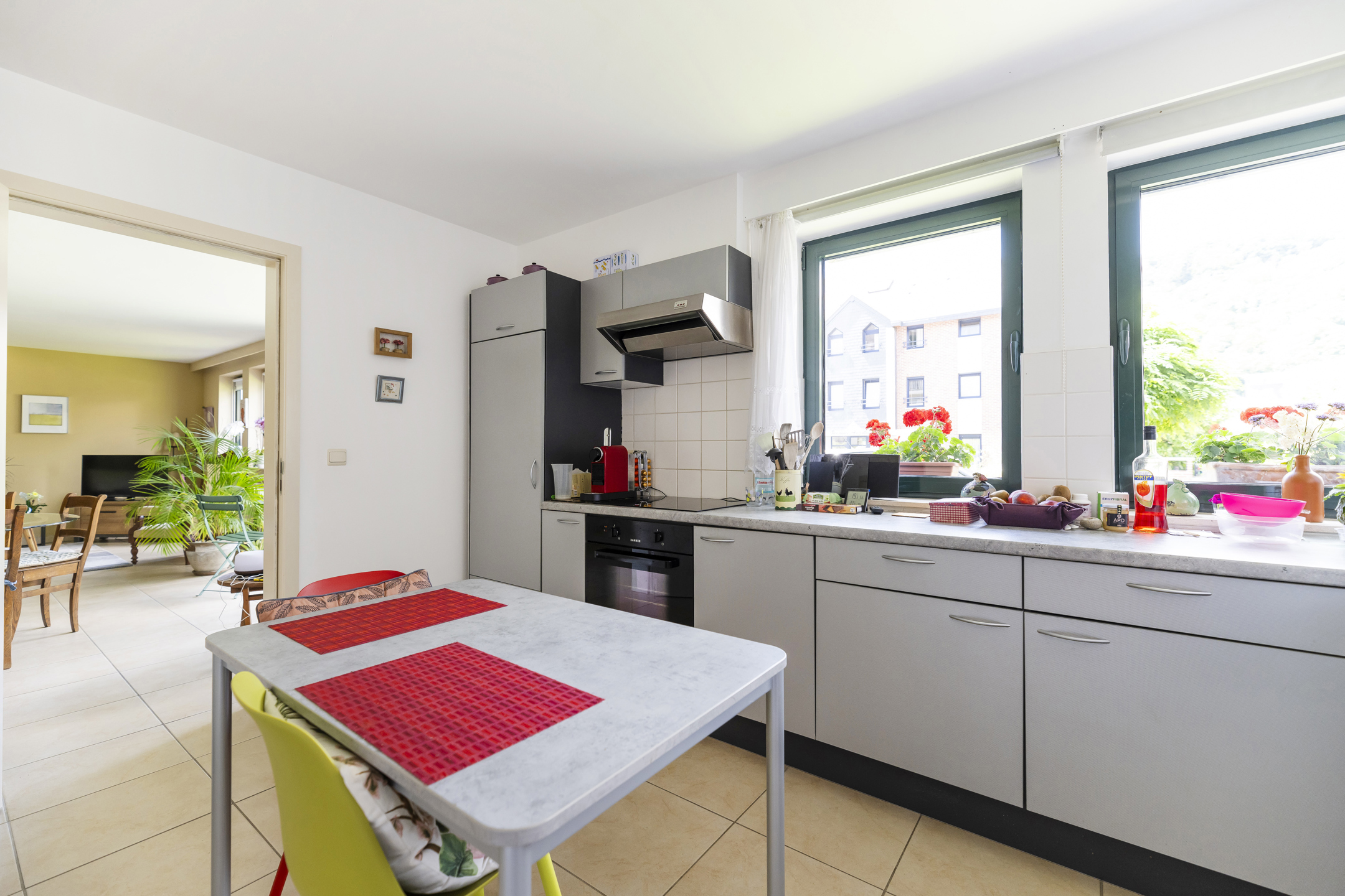 VISITES avec David Maes - dmaes@trevi.be - 0478/26 43 28  - foto 5