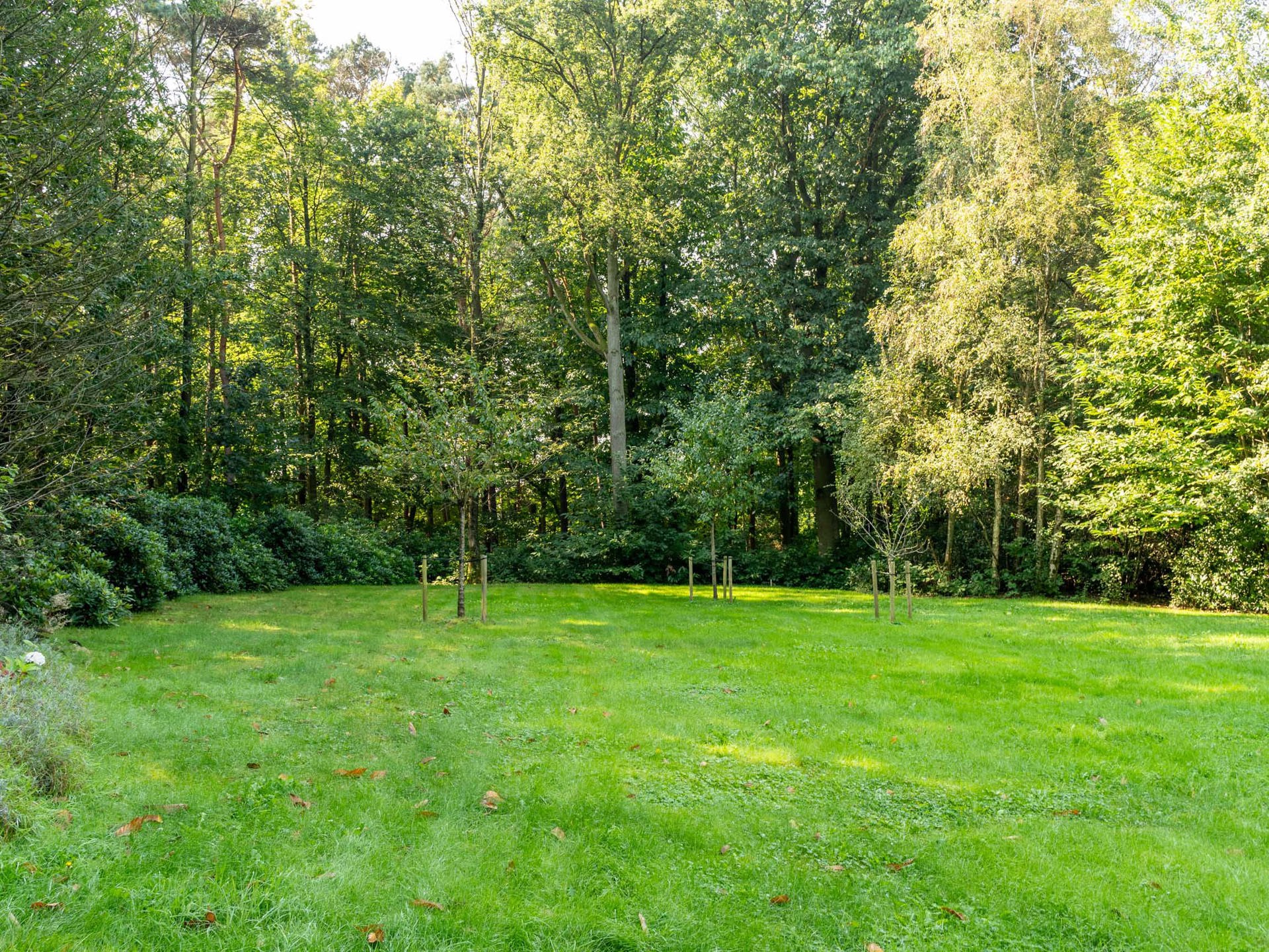 Waals-Brabant I Waver - foto 5