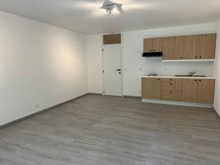 Leuk gelijkvloers appartement met 1 slaapkamer gelegen vlakbij het Rivierenhof.Indeling: leefruimte (salon + eetkamer) met veel lichtinval, open...