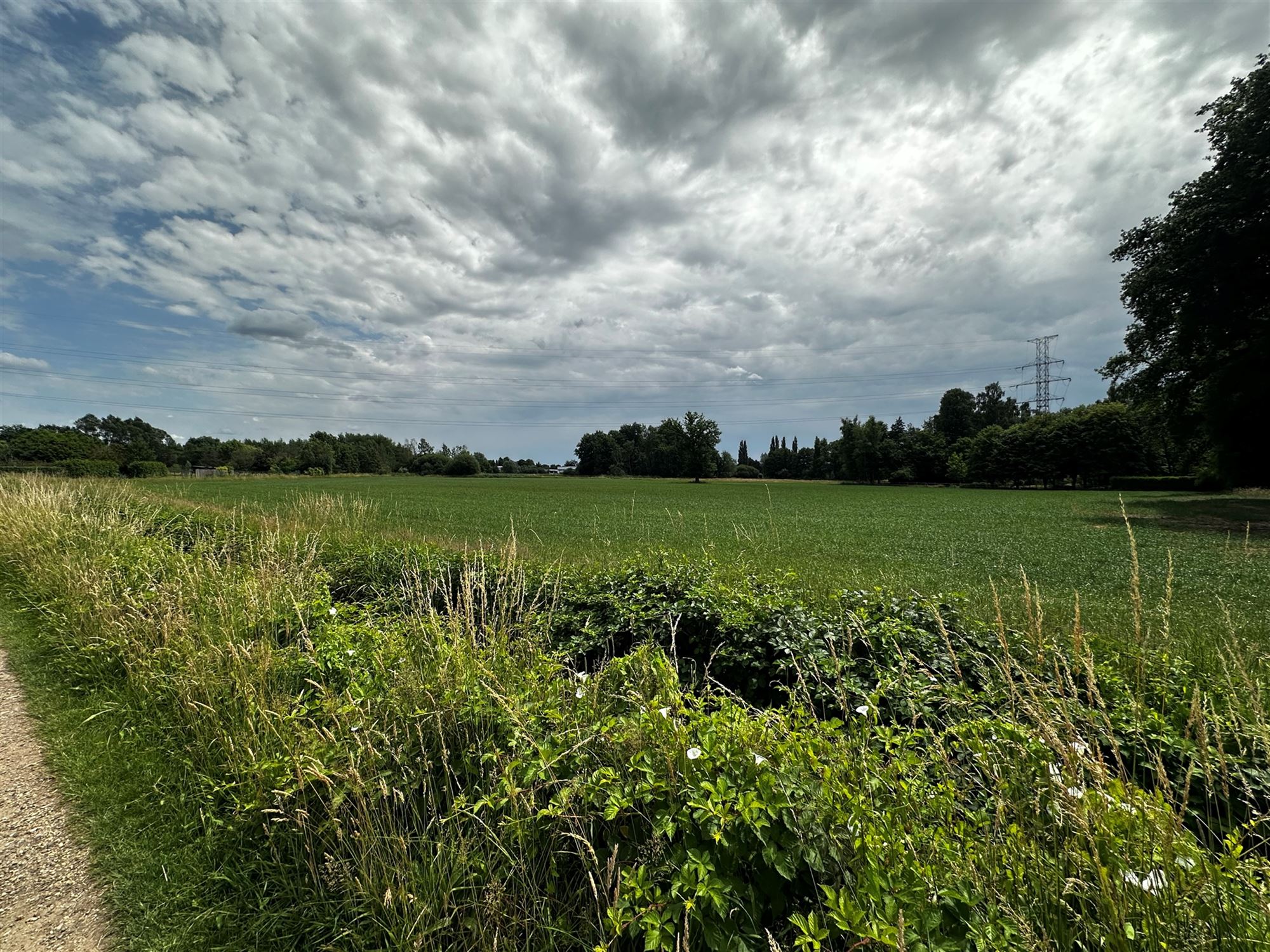 Terrain à vendre à Beringen - photo 4