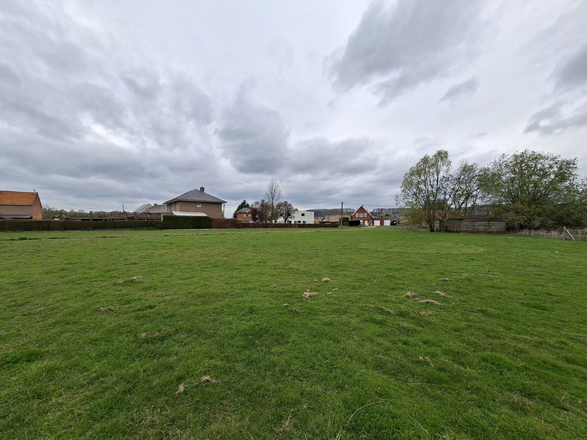 Bouwgrond van 26 are voor open bebouwing te Wezemaal - foto 2