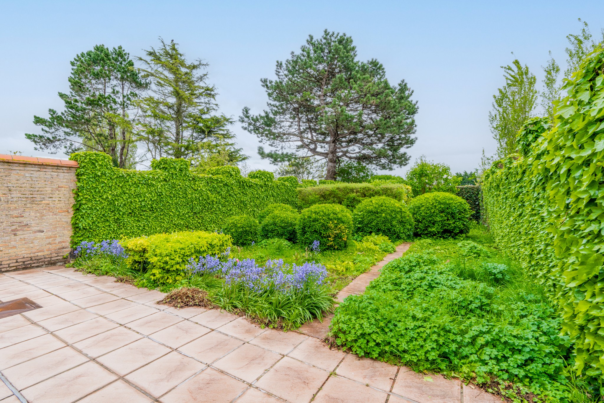 House for sale in Knokke with 3 bedrooms - photo 2