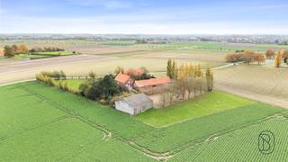 <h3><strong>Te koop: unieke vierkantshoeve op 1 hectare grond te Ieper</strong></h3>
<p>In de <strong>Briekestraat in Ieper</strong>, vlak bij de <strong>N38 en A19</strong>, ontdek je deze <strong>prachtige vierkantshoeve</strong> uit <strong>1958</strong>. Op een indrukwekkend perceel van <strong>10.000 m²</strong> combineert ze <strong>ruimte, authenticiteit en eindeloos potentieel</strong>.</p>
<p><br />Wat maakt dit pand uniek?<br />De woning biedt <strong>300 m² bewoonbare oppervlakte</strong>, <strong>vier slaapkamers</strong> en een <strong>ruime tuin</strong> die uitnodigt tot genieten van het buitenleven. De <strong>bestemmingswijziging is reeds goedgekeurd</strong>, waarbij <strong>twee bestaande schuren behouden blijven</strong> en bovendien <strong>een extra hangar werd vergund</strong> — een uitzonderlijke meerwaarde voor wie extra ruimte zoekt voor hobby, werk of dieren.</p>
<p>Voor wie is dit ideaal?<br />Hier woon je in alle <strong>rust en privacy</strong>, omringd door groen, met het <strong>centrum van Ieper</strong> op korte afstand. Deze historische hoeve is een plek met ziel, klaar om nieuw leven ingeblazen te worden.<br /><span>-<br />Te koop via Immo Beguin, jouw vastgoedexpert sinds 2009.<br />Met kantoren in Ronse, Waregem, Kortrijk, Deinze, Doornik en Lessines.<br /></span></p>
<p></p>