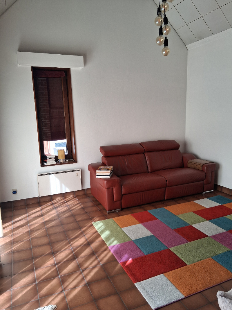 alleenstaande woning in het pittoreske Bekegem - foto 4