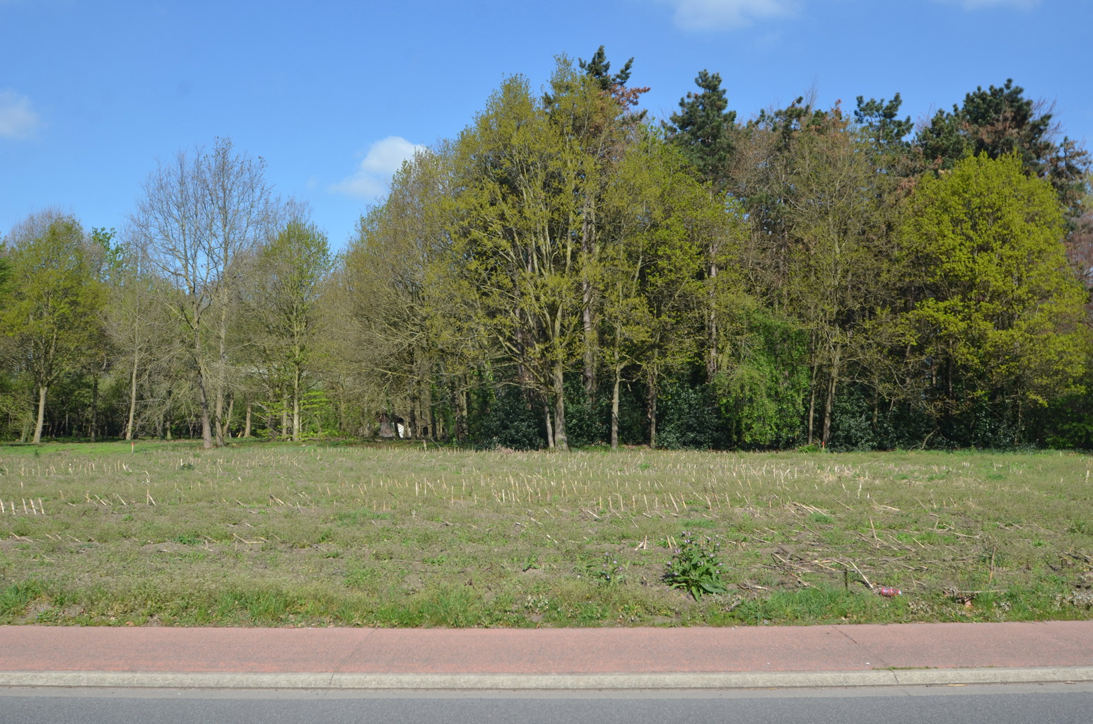 Nabij Staakteschool: landelijk gelegen bouwgrond - 2326 m2  - foto 3