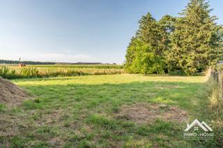 Deze te renoveren woning is gelegen op een perceel van maar liefst 1500 m² in een prachtige landelijke omgeving. Het huis bestaat op het gelijkvloers uit twee helften : links vinden we twee grote leefruimtes, en aan de andere kant van de centrale gang is er een leefkeuken met zicht op de tuin. Op de eerste verdieping is er rond de overloop voorzien in drie slaapkamers. Achteraan het pand zijn er nog meerdere bijgebouwen in gebruik als opslagruimte, en die is er ook in de grote garage aan de rechterkant van de woning. Een fantastische troef bij het pand is de gigantische tuin, met rondom agrarisch uitzicht. Dat zicht heb je trouwens ook aan de voorzijde van de woning. Dit is zonder twijfel een mooie opportuniteit voor iemand die op zoek is naar een renovatieproject in een prachtige landelijke omgeving. Inschrijven via mail naar Tommy@immo-home.be, geen telefonische inschrijvingen! Volg ons op Fb en Insta. Voor meer info: www.immo-home.be. GRATIS SCHATTING & GRATIS FINANCIEEL ADVIES