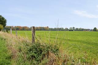 Large meadow for sale of approximately 4.2 hectares in 2830 Willlebroek.