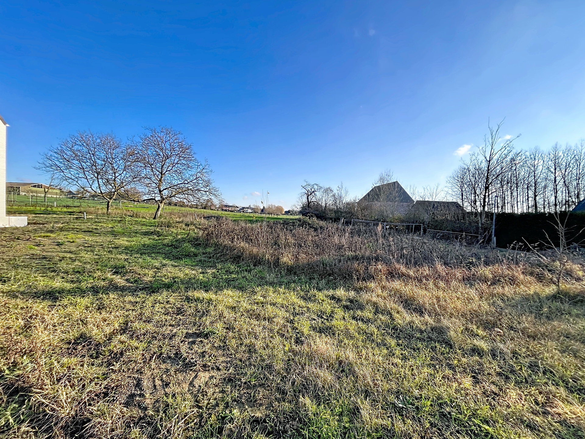 Land for sale in Nederhasselt - photo 5