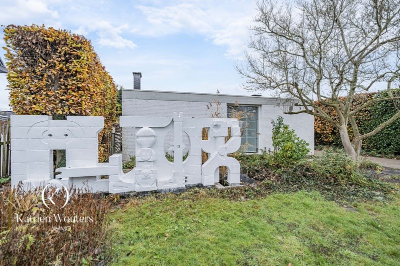 Organische architecten- en kunstenaarswoning - foto 1