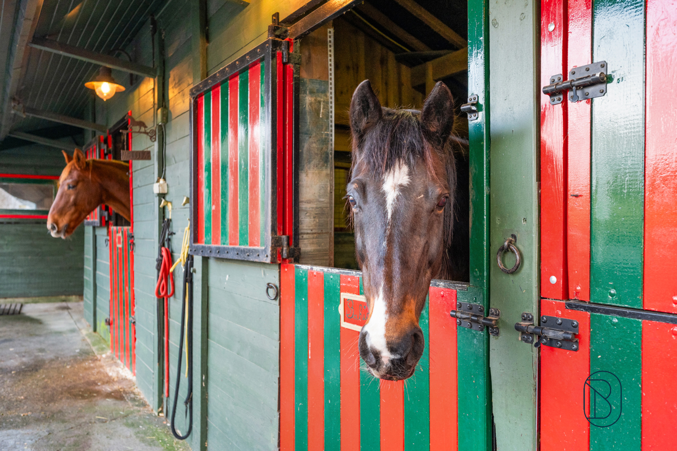Villa met zwembad, professioneel gedeelte + studio - foto 5