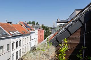 <p>Zeer <strong>rustig en centraal gelegen</strong>, op wandelafstand van het Mechelseplein, <strong>de Botanic Sanctuary Antwerp</strong>, het Theaterplein en het Museum voor Schone Kunsten, bevindt zich dit charmante appartement. Het is gelegen op de derde verdieping van een kleinschalig gebouw met lage maandelijkse kosten.</p>
<p>De inkomhal leidt u naar de<strong> aangename en lichtrijke leefruimte.</strong> De <strong>hoge plafonds tot in de nok</strong> en de grote raampartijen creëren een heerlijk gevoel van ruimte en licht. De <strong>open keuken</strong> is voorzien van alle comfort. Via de leefruimte heeft u toegang tot een <strong>zuidgericht terras</strong> met een <strong>weids uitzicht</strong>. Van hieruit ziet u zelfs de toren van de kathedraal!</p>
<p>Verder beschikt het appartement over<strong> twee volwaardige slaapkamers</strong> en een <strong>comfortabele badkamer</strong> met een douche in bad en een wastafel.</p>
<p>Tot slot is er nog een <strong>aangename mezzanineruimte, </strong>waar een gezellige zithoek kan worden gecreëerd. Inclusief kelderberging.</p>
<p><strong>Bijzonderheden:</strong></p>
<ul>
<li>Toplocatie nabij het <strong>Mechelseplein</strong></li>
<li>Op wandelafstand van het Theaterplein, een park, de Marnixplaats, enz.</li>
<li>Twee volwaardige slaapkamers</li>
<li>Aangenaam <strong>zuidgericht terras</strong> met weids uitzicht op de kathedraal</li>
<li>Goede bereikbaarheid</li>
</ul>