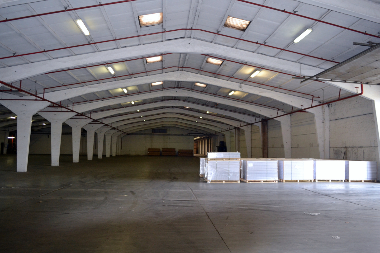 Magazijn/opslagruimte te huur met een oppervlakte van 6800m2 - foto 3