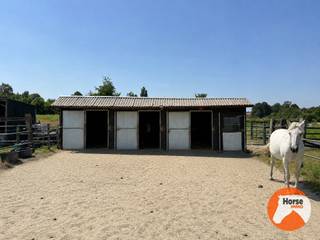ASSE - Verzorgde paardenaccommodatie op 1,07ha met vergunde stallen<br /><br />Op een vlot bereikbare locatie in Asse bevindt zich deze verzorgde accommodatie op een perceel van ca. 1,07 hectare, waar functionaliteit en comfort hand in hand gaan. De eigendom werd met oog voor praktisch gebruik ingericht en biedt alles wat nodig is om uw paarden in een aangename en goed georganiseerde omgeving te huisvesten.<br /><br />De vergunde stallen omvatten drie ruime paardenboxen en een zadelkamer/berging. Daarnaast is er ook een handige paddock en een praktische opslagruimte voor hooi en stro. De weide werd opgedeeld in twee afzonderlijke percelen, waardoor een doordacht begrazingsbeheer mogelijk is en het grasland optimaal behouden blijft. Dankzij deze indeling kunnen uw paarden genieten van voldoende ruimte, terwijl u het onderhoud van de weides efficiënt organiseert.<br /><br />Ook op vlak van voorzieningen is aan alles gedacht. De drinkbak is aangesloten op een waterput, zodat uw paarden steeds over koel en vers water beschikken. Daarnaast zorgen drie regenwateropvangvaten, goed voor een totale capaciteit van ongeveer 2.500 liter, voor een duurzame watervoorziening. Verlichting is eveneens aanwezig en kan eenvoudig gebruikt worden door een generator aan te sluiten.<br />De eigendom is te vinden met volgende coördinaten: 50.907514, 4.216432<br /><br />Deze eigendom vormt de ideale plek voor wie zijn paarden wil houden in alle rust.<br />Een zeldzame kans voor wie op zoek is naar een klein paradijs op een unieke locatie.<br /><br />Aarzel niet ons te contacteren voor meer informatie of een bezoek: 053/60.65.66