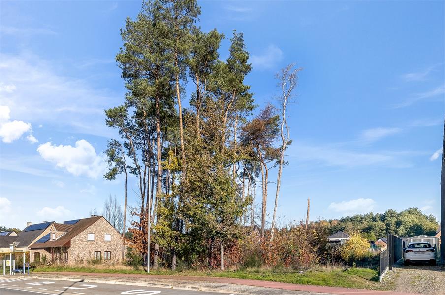 Centraal gelegen bouwgrond voor open bebouwing in Ham - foto 5