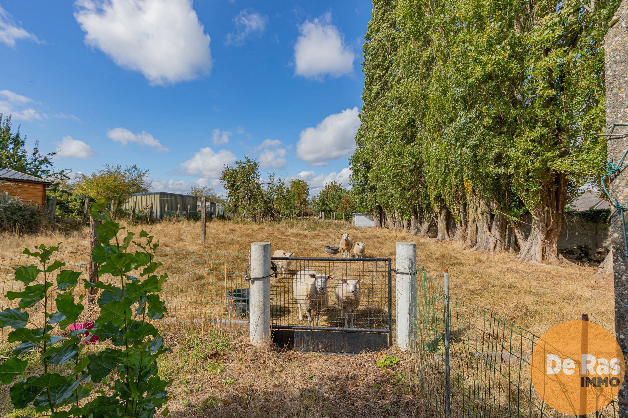 ERPE-MERE - Ruime gezinswoning in het landelijke Mere - foto 3