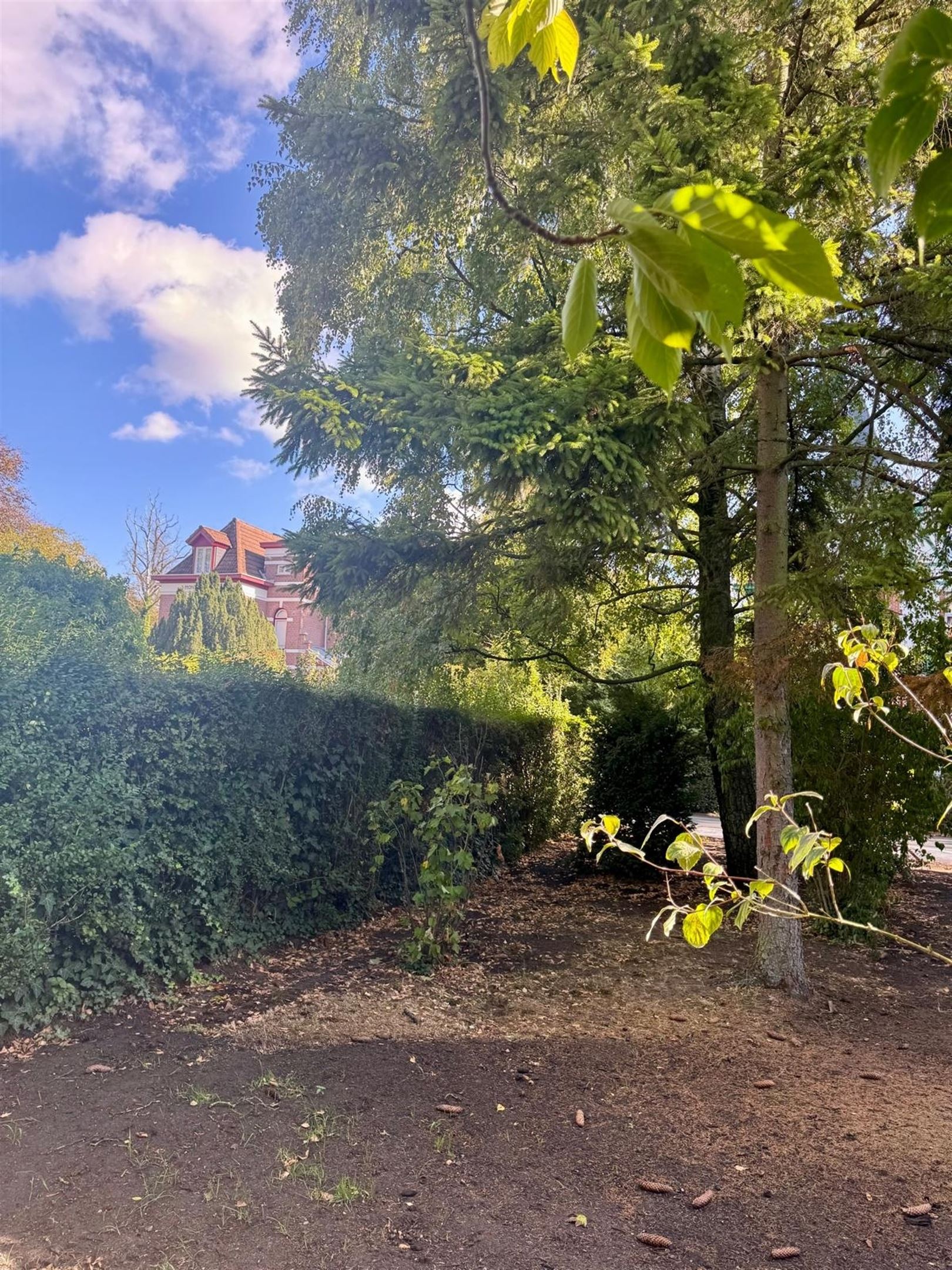 Half open bouwgrond - photo 4