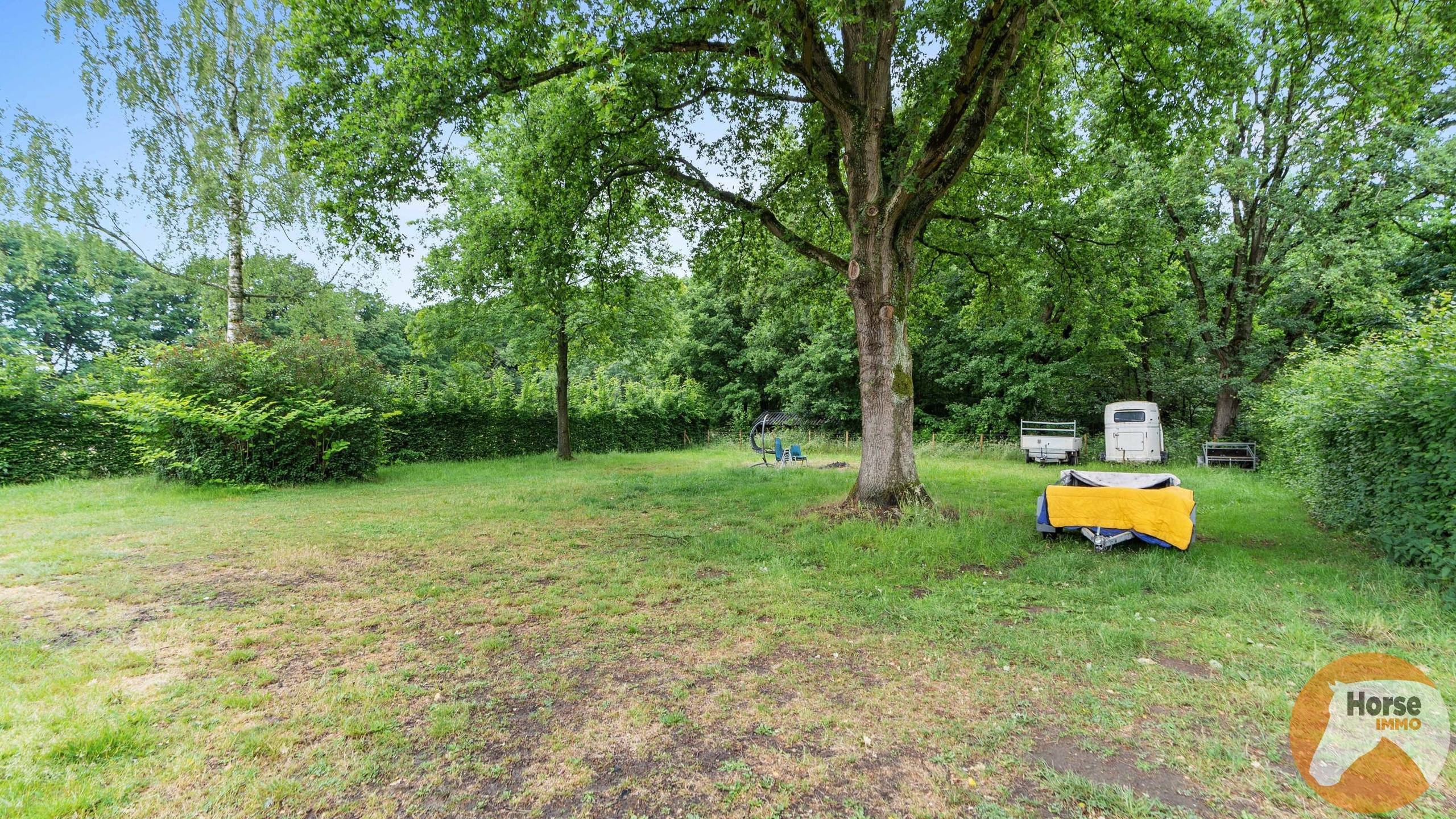 ITEGEM - Rustig gelegen woning en bijgebouw op 2,4Ha - foto 4