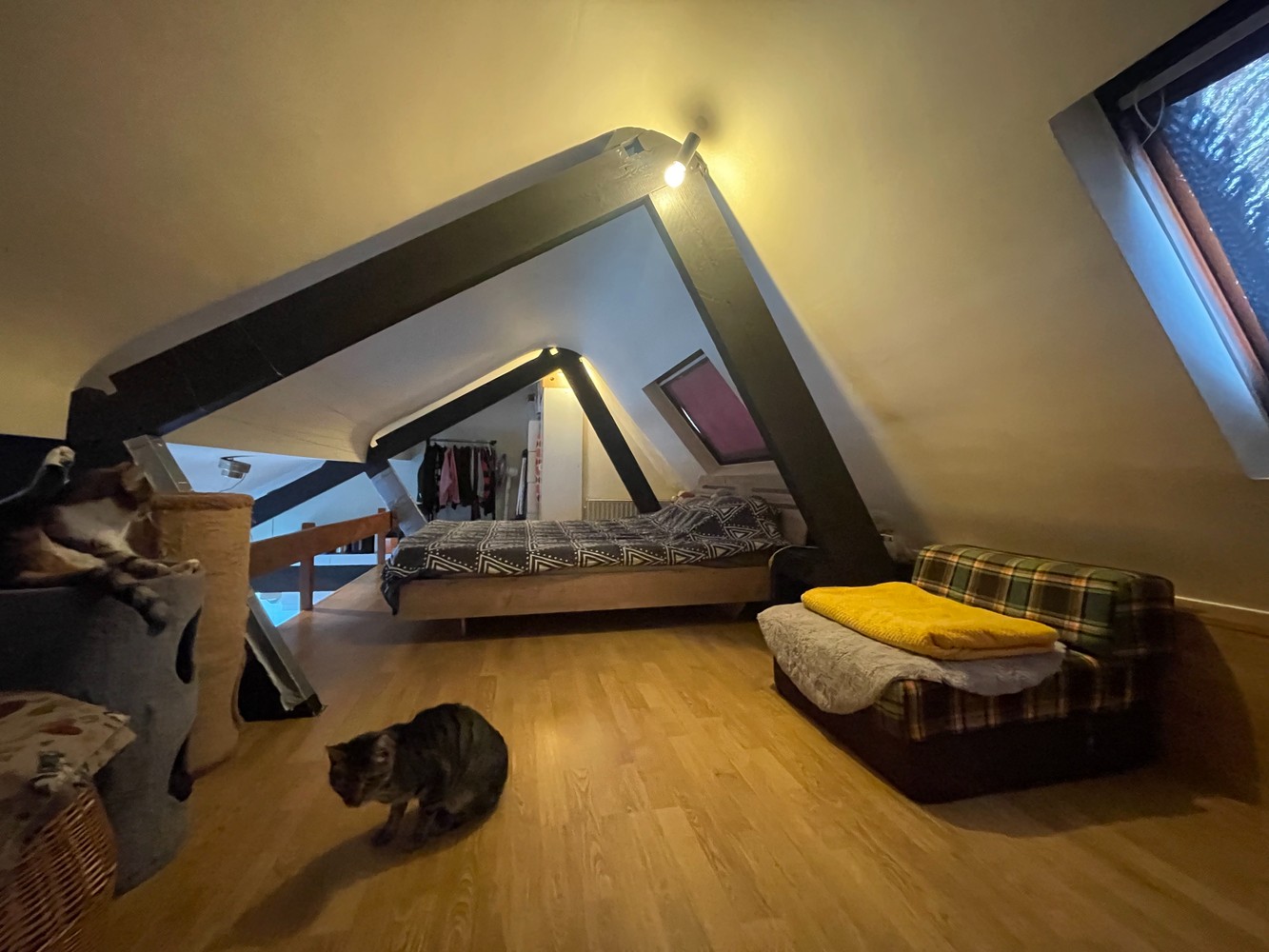 Brugge centrum,  DUPLEX  LOFT STUDIO op 2 é verdieping - foto 5