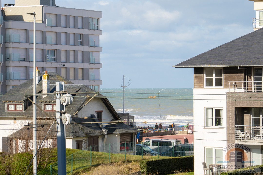 Schitterend 2-slaapkamer appartement in het hart van Sint-Idesbald - foto 5