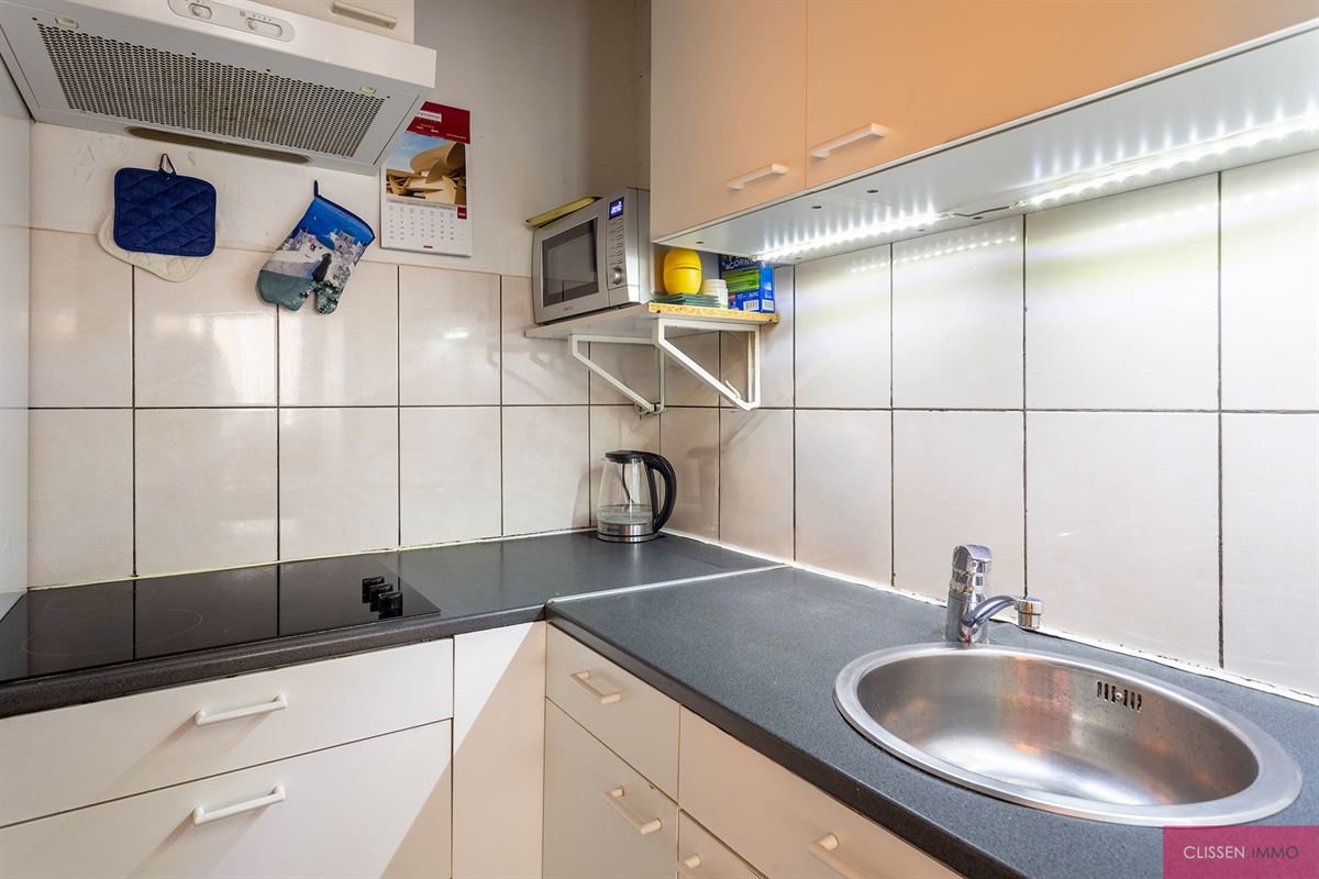 Instapklaar 1-slaapkamerappartement met terras vlak bij het Stadspark - foto 5