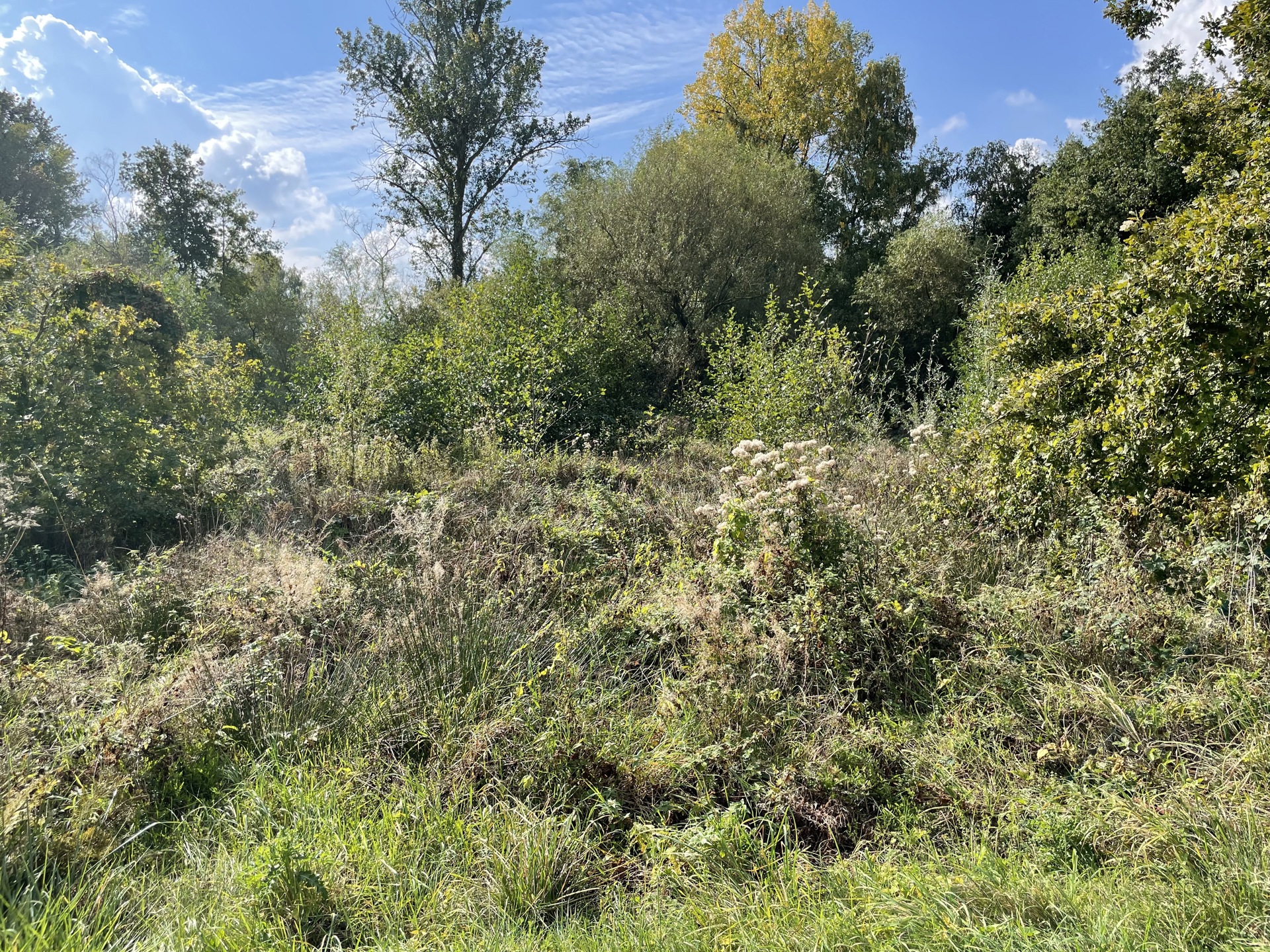 Terrain à vendre à Houthalen-Helchteren - photo 4