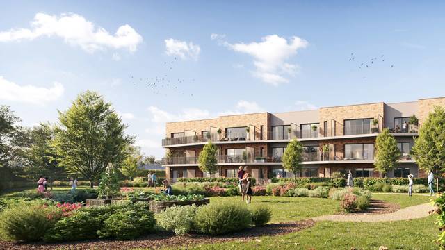 Project te koop in Sint-Agatha-Berchem