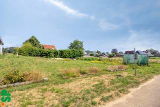 Land for sale in Meerhout
