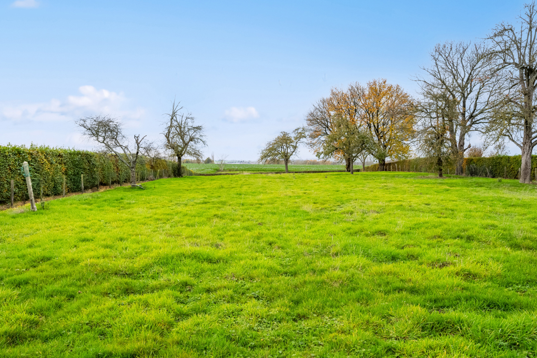 Opbrengsteigendom op 41are in Hundelgem nabij Oosterzele - foto 5