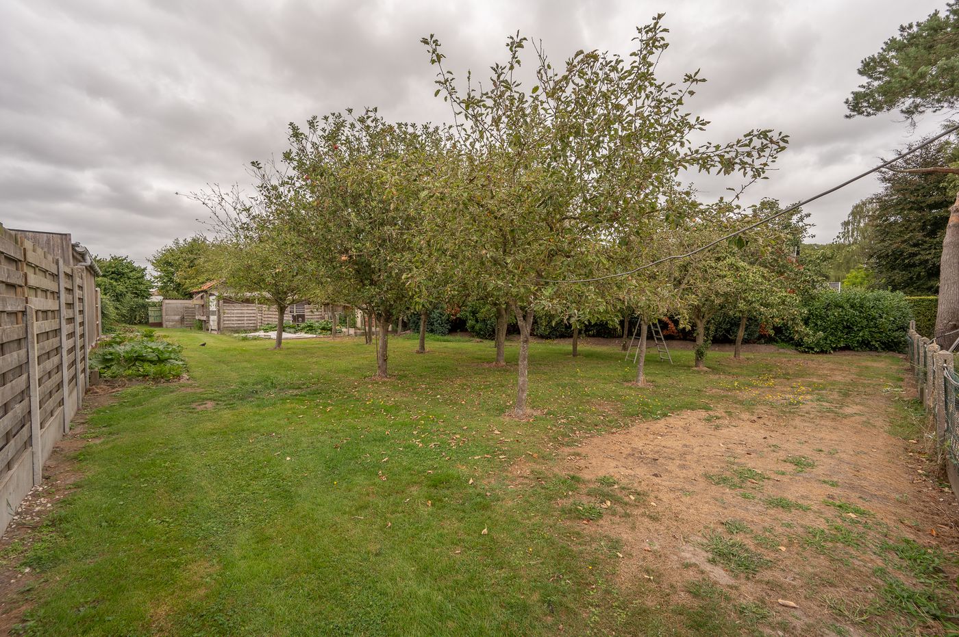 Prachtig stuk bouwgrond van 1.341m² te koop in Veldegem - foto 4