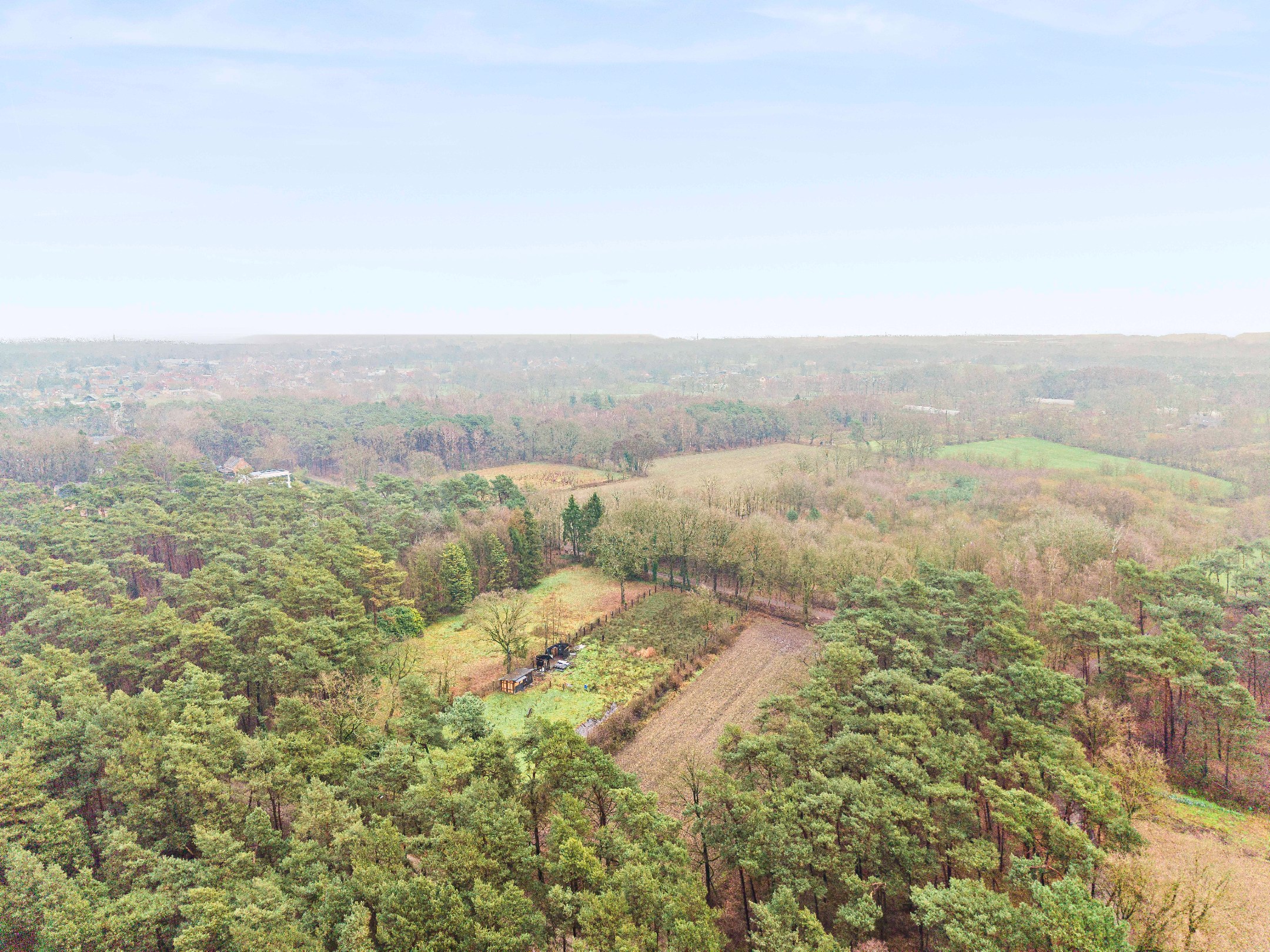 Rustig gelegen natuurperceel van 3.171 m² langs de Belsebaan in Balen - foto 5
